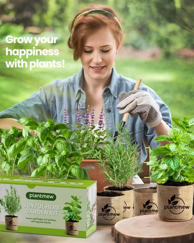 Vista 4 de Regalo para mujeres, mamá, ella - Kit de jardín de 9 hierbas para ventanas interiores