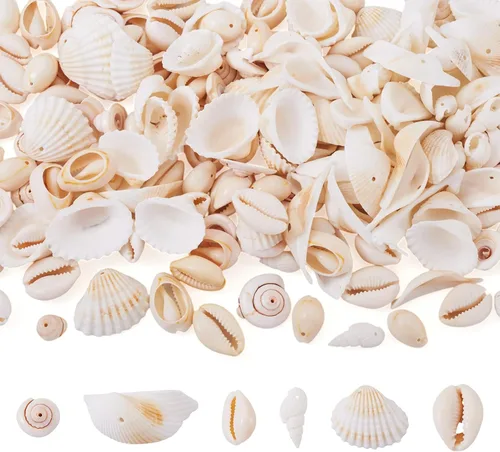 Vista 25 de Cheriswelry 100 cuentas de concha para hacer pulseras, conchas de cauri, cuentas espaciadoras de verano, playa, cuentas ovaladas para hacer
