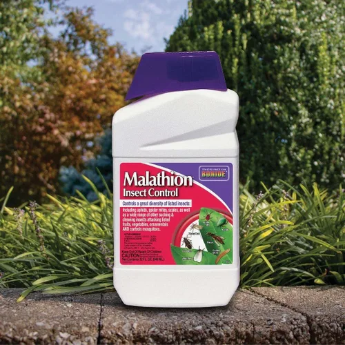 Vista 2 de Bonide Malathion - Control de insectos, concentrado listo para mezclar de 32 onzas para uso en jardín al aire libre