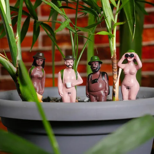 Vista 3 de Gift Republic Naked Ramblers - Juego de 4 divertidas estacas de jardín para plantas de interior, suculentas y macetas de interior, regalo novedoso