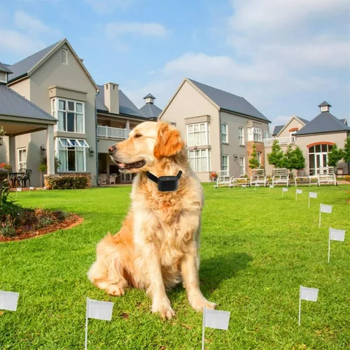Vista 6 de Valla electrónica para perros, collar de choque de entrenamiento remoto para perros y sistema de valla de contención de límites para perros