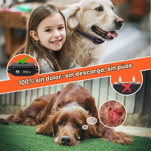 Vista 2 de Collar de entrenamiento para perros sin golpes con control remoto de 3300 pies, collar de perro vibratorio humano, 3 modos ultrasónico, pitido