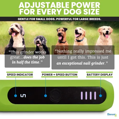 Vista 5 de Diamondg Amoladora de uñas micro inalámbrica para perros con sonido silencioso y punta LED para perros grandes y pequeños, 4 horas de Micro - Verde