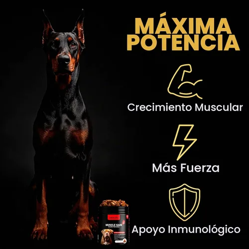 Vista 2 de Masticables 11 en 1 para Ganancia Muscular - Suplementos de Aumento de Peso para Perros con Alta Proteína y Aminoácidos - Constructor Muscular