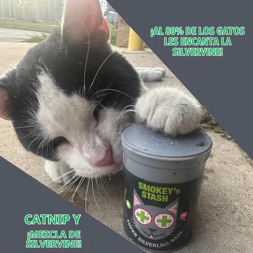 Vista 2 de Smokey's Stash Silvervine Haze - Potente mezcla de hierba gatera y vid plateada para gatos