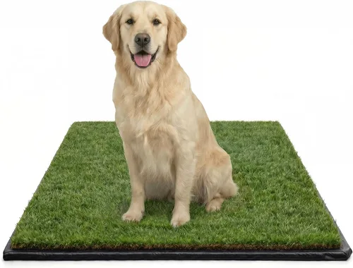 Vista 9 de DoggieLawn Orinal para perros - Hierba real - XL 24 x 48 pulgadas