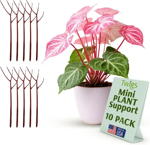 Vista 15 de Estacas de soporte para plantas para uso en interiores y exteriores, alternativa duradera de enrejado para plantas trepadoras y en maceta