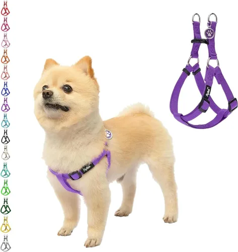 Vista 46 de Pupteck - Arnés para perros sin jalar, suave, ajustable, de nailon, talla básica, chaleco para cachorro, para caminar al aire libre con etiqueta