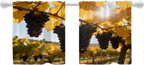 Vista 13 de Shrahala Orange Autumn Autumn Blackout Curtain Tiers, Fall Kitchen Valance Light Blocking Tier Drapes with Rod Pocket, 2 Pack 26 X 24 in