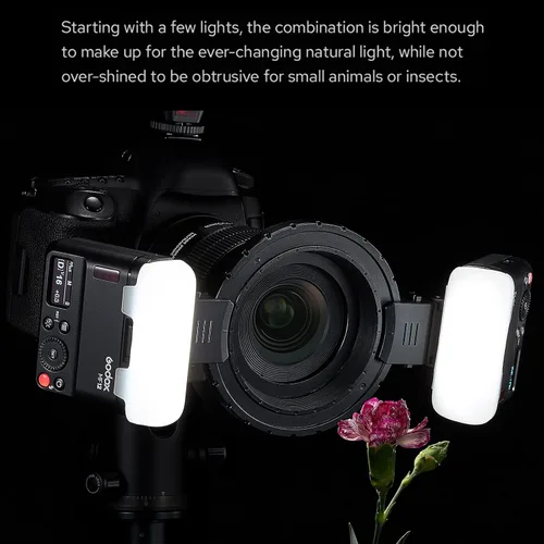 Vista 5 de Godox MF12 MF12-K2 Macro Flash Off-Camera TTL Flash Speedlite 12W, Control Inalámbrico 2.4G, Modo TTL/M, Batería de Litio Integrada 3.7V/6.29W