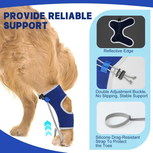 Vista 2 de Muñuelos para perros para hiperflexión de falanges causada por daño del nervio ciático y deformidad flexional carpiano - Correas de bloqueo dobles