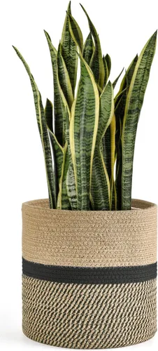 Vista 12 de Dahey - Cesta tejida pequeña de cuerda de algodón para plantas, cesta enrollada para macetas de hasta 7 pulgadas, cesta decorativa para cubrir