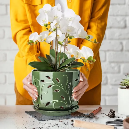 Vista 5 de EFISPSS Macetas de orquídeas con agujeros, macetas de orquídeas de 7 pulgadas con agujeros de drenaje y bandeja, maceta grande