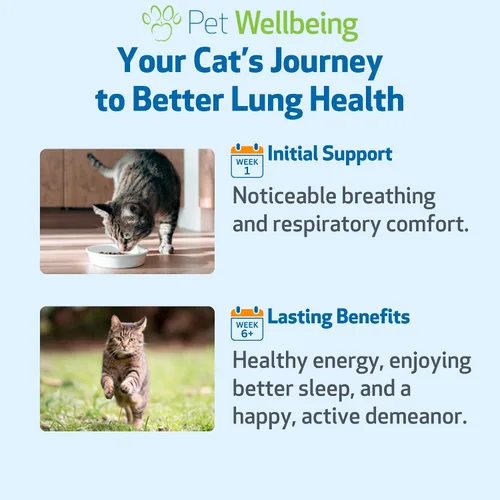 Vista 4 de Pet Wellbeing Oro pulmonar para gatos – Apoyo inmunológico pulmonar, salud respiratoria inferior, vías respiratorias abiertas, respiración normal