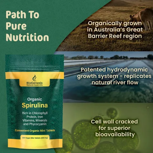 Vista 5 de Biogenesis Mini tabletas de espirulina orgánica, 300 unidades (200 mg) Algas azul-verdes cultivadas en Australia Ricas en ficocianina, clorofila