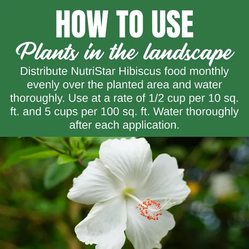Vista 6 de Nelson Plant Food - Fertilizante NutriStar Hibiscus - Alimento para plantas de interior y exterior - Fertilizante de hibisco tropical para todas