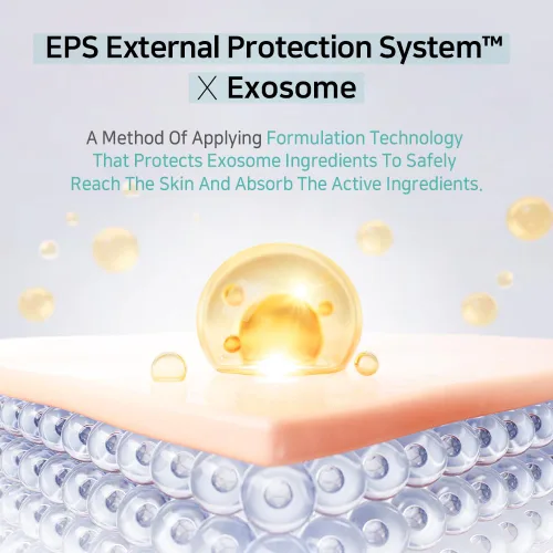 Vista 5 de APLB Exosome Niacinamide EX Cream EXOS EX NIAC CEN™ 36.2% 1.86 FL.OZ/Cuidado de la piel coreano, absorción eficiente, hidratación duradera