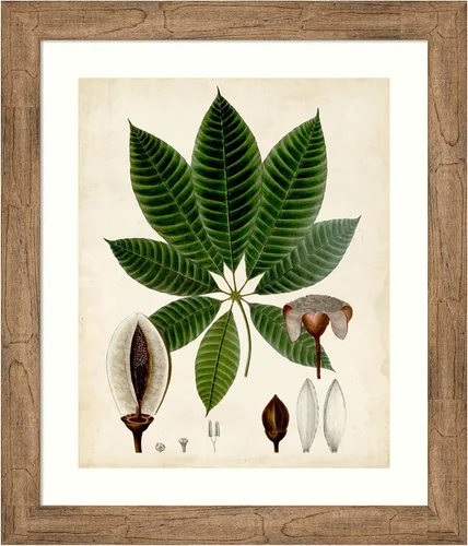 Vista 16 de Amanti Art Vision Studio - Lienzo decorativo para pared, 24 x 20 pulgadas, follaje verde VII por Vision Studio, arte de pared de naturaleza