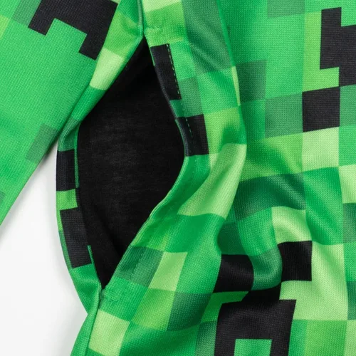 Vista 4 de Minecraft Creeper