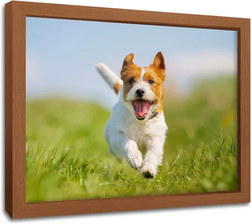 Vista 22 de Impresiones en lienzo personalizadas con tus fotos para mascotas, impresiones de fotos familiares, lienzo personalizado, aleación de aluminio, arte
