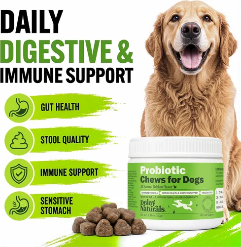 Vista 2 de Deley Naturals Probióticos masticables para perros – 4 mil millones de UFC probióticos para perros, prebióticos, enzimas para la digestión