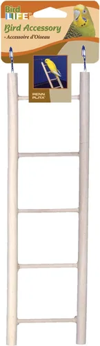 Vista 5 de [Usado] PENN-PLAX Kit de iniciación para pájaros pequeños con jaula y accesorios, ideal para periquitos, tortolitos, loros, pinzones, canarios