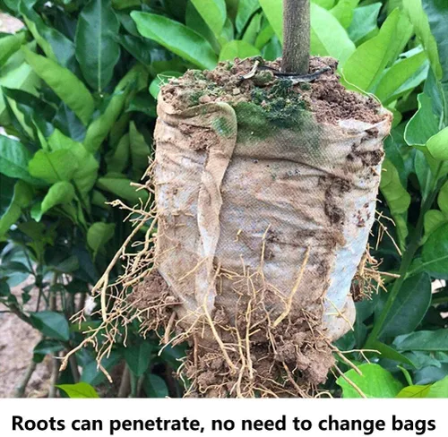 Vista 5 de 200 bolsas de cultivo para vivero, bolsa de cultivo pequeña de 5.8 x 5 pulgadas para plantas, macetas de tela, papa, flor, tomate para principiantes