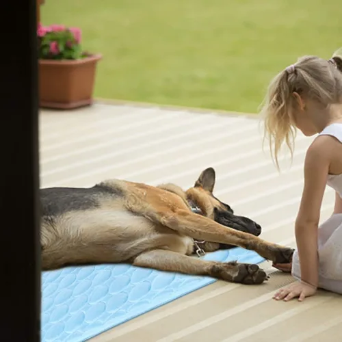 Vista 5 de Tapete refrescante para perros, lavable, de seda helada, para perros, parte inferior impermeable, almohadilla para dormir de verano, manta