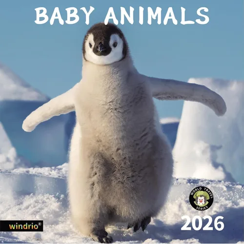 Vista 16 de Calendario de pared 2026, Calendario divertido 2026, noviembre de 2025 - diciembre de 2026, calendario de pared con memes divertidos de animales, 12