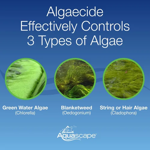 Vista 3 de Aquascape 96026 Algicida para estanque, cascada y características de agua, 1 galón