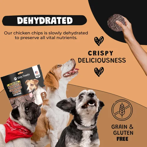 Vista 4 de Chips de molleja de pollo: golosinas de entrenamiento naturales para perros, hechas en Estados Unidos, un solo ingrediente, golosinas saludables