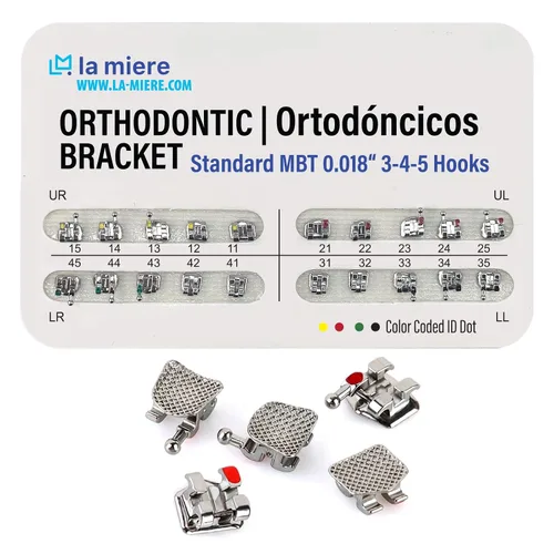Vista 12 de 20 piezas modelo de dientes con brackets, soportes Typodont, ranuras 0.018 3-4-5 con ganchos 20 piezas/paquete, (MBT, Mini) 1PK