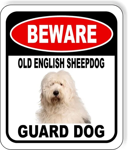Vista 64 de BEWARE BASSETT HOUND GUARD DOG - Letrero compuesto de aluminio para exteriores, 8.5 x 10 pulgadas CUIDADO BASSETT HOUND GUARD PERRO