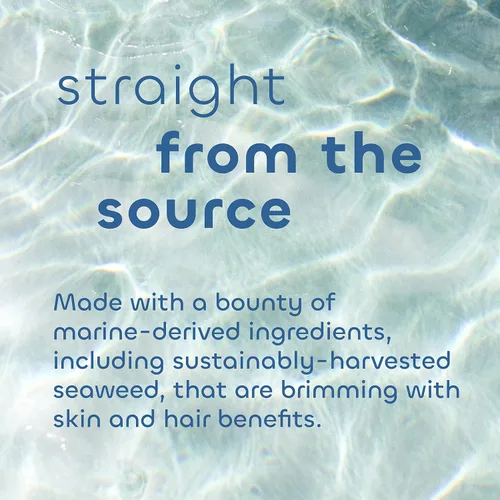 Vista 4 de Seaweed Bath Co. Crema de manos con colágeno, aroma a romero y menta, 2 onzas, algas cosechadas de forma sostenible, algas verdes, manteca de karité