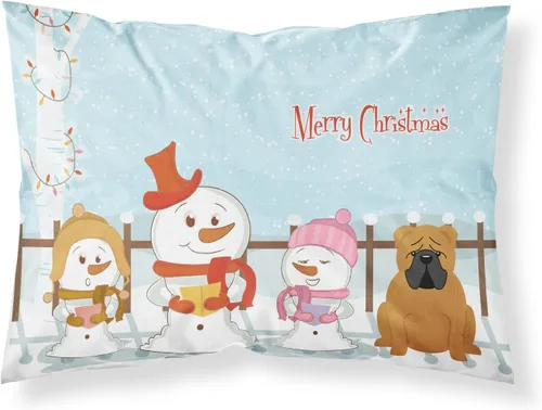 Vista 219 de Caroline's Treasures BB2515PILLOWCASE Between Friends Appenzeller Sennenhund - Funda de almohada de tela estándar, ligera, súper suave, fácil