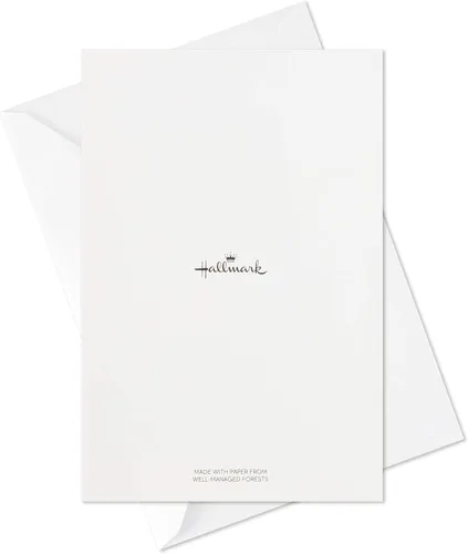 Vista 8 de Hallmark Surtido de tarjetas de Navidad en caja, gatos y perros navideños (6 diseños, 24 tarjetas con sobres)