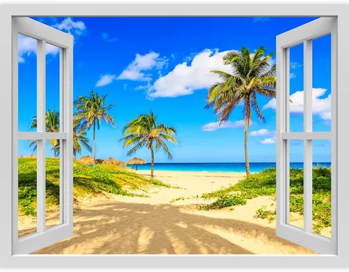Vista 51 de IDEA4WALL Adhesivo mural removible para pared, arena blanca tropical, playa, orilla, palmera, naturaleza, desierto, fotografía, arte moderno