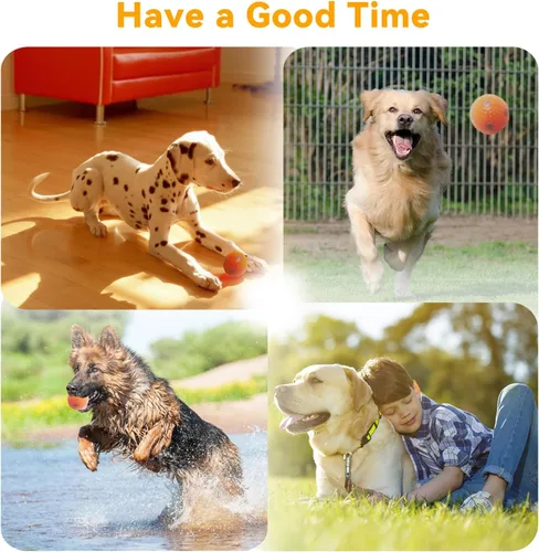 Vista 6 de ptlsy Lanzador automático de bolas para perros, lanzador interactivo para cachorros de interior para perros pequeños y medianos, 3 bolas incluidas