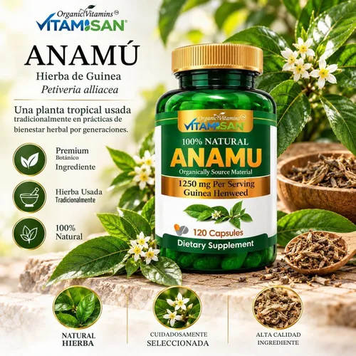 Vista 5 de Vitaminas Orgánicas Anamu 1250mg 100% Cultivado Orgánicamente 120 Cápsulas Petiveria Allicea