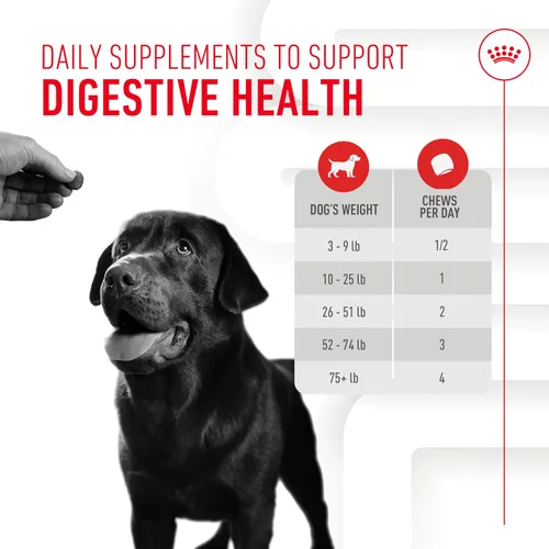 Vista 7 de Royal Canin - Suplemento digestivo para perros adultos, masticables suaves, 60
