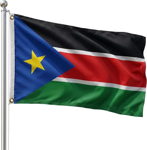 Vista 19 de DMSE - Bandera nacional beninesa beninesa de la República de África Occidental, 2 x 3 pies, 100 % poliéster, 100 % poliéster, resistente a los rayos