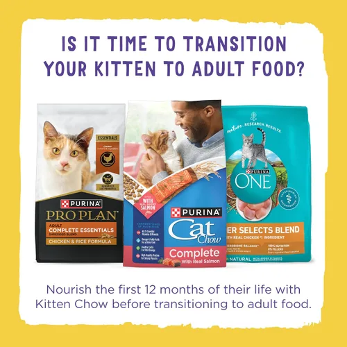 Vista 13 de Alimento seco para gato con fórmula nutritiva de Purina Kitten Chow, 14 lb