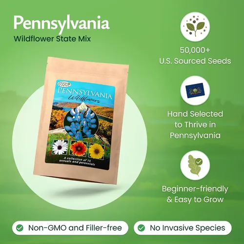Vista 2 de Mezcla de semillas de flores silvestres de Pennsylvania: más de 50,000