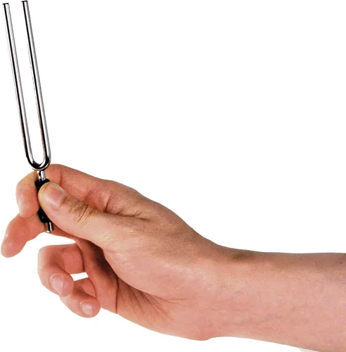 Vista 2 de D'Addario Accesorios Planet Waves Tuning Tenedor