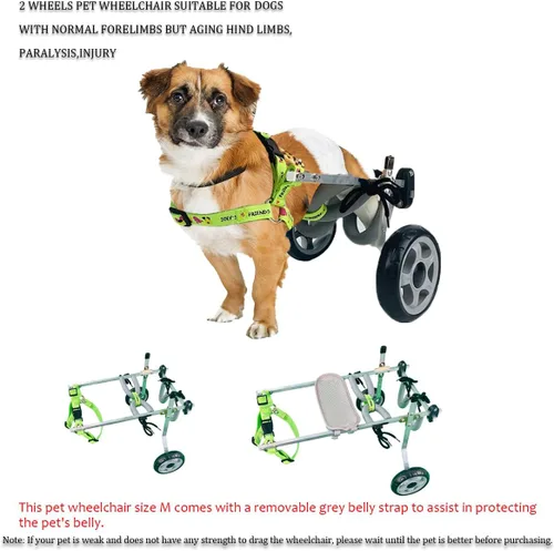 Vista 4 de Silla de ruedas para perro, silla de ruedas para mascotas de 2 ruedas, silla de ruedas ajustable para patas traseras discapacidad, parálisis