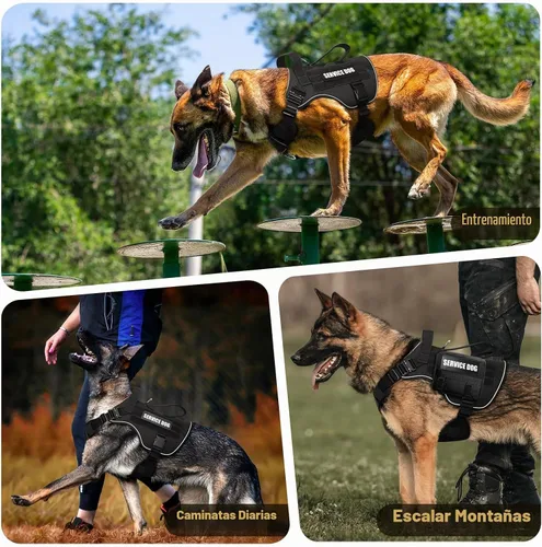 Vista 9 de WINSEE - Chaleco para perro Molle con hebilla de metal, 2 unidades, con 10 parches para mascotas Tactical Dog Harness for Medium Dog, No-pull