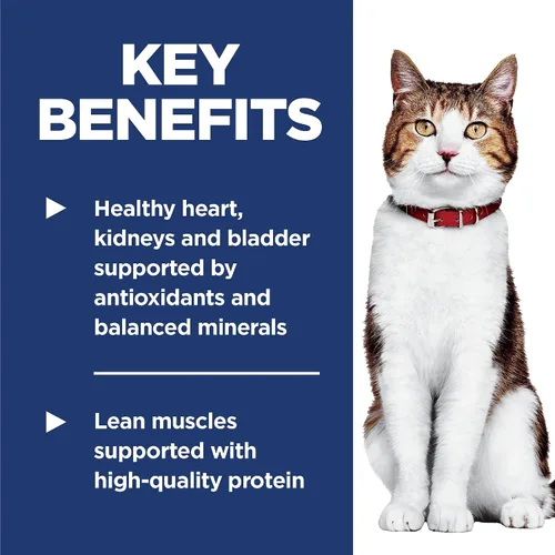 Vista 4 de Hill's Science Diet Adult 7+, Senior Adult 7+ Premium Nutrition, alimento seco para gatos, receta de pollo, bolsa de 4 libras