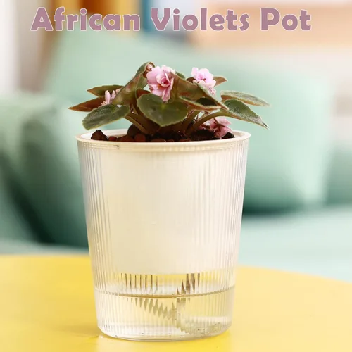 Vista 6 de Pack de 6 Macetas de 11.4 cm de Riego Automático y Transparentes para Plantas de Interior, Macetas de Plástico con Mecha para Orquídeas Medianas