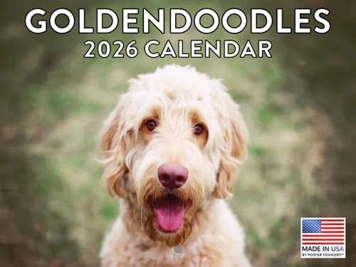 Vista 209 de Calendario mensual de pared Airedale Terrier Dog 2027 rojo (Airedale Terrier)