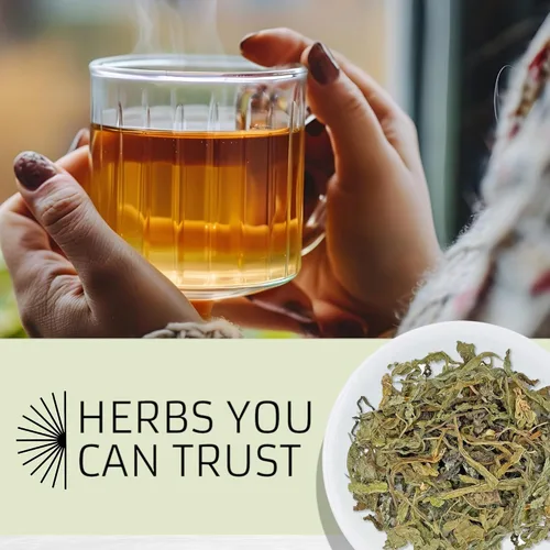 Vista 6 de Evergreen Herbs Diente De Leon Hoja De Diente De León Hierba 4oz. Diente de león, diente de león, diente de león, diente de león, diente de león